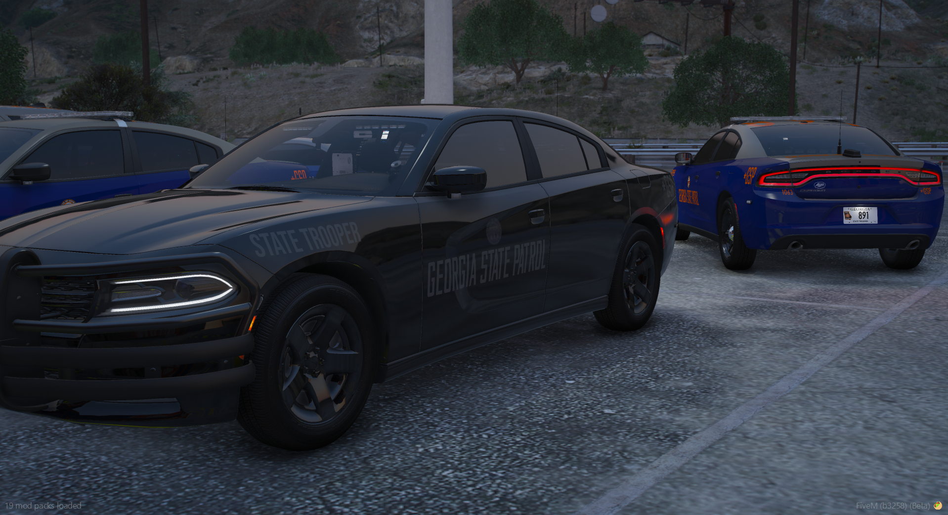 ASP Charger Fleet